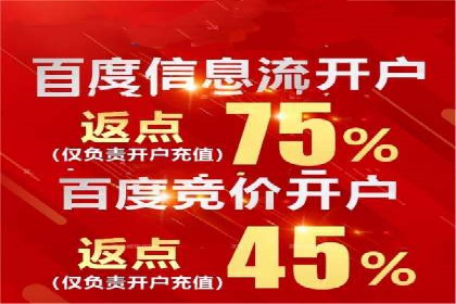 百度竞价运营实战案例分析